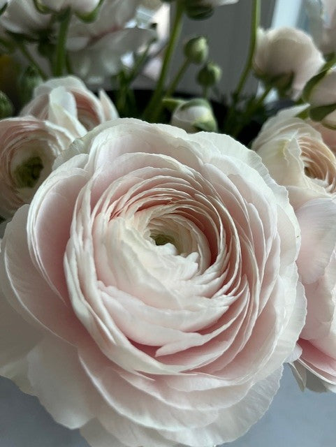 Mother's Day Floristry Workshop - May 9, 2026