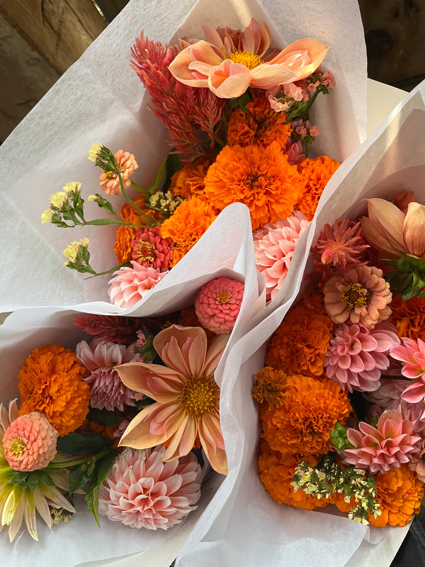 Full Season of Flowers May-September