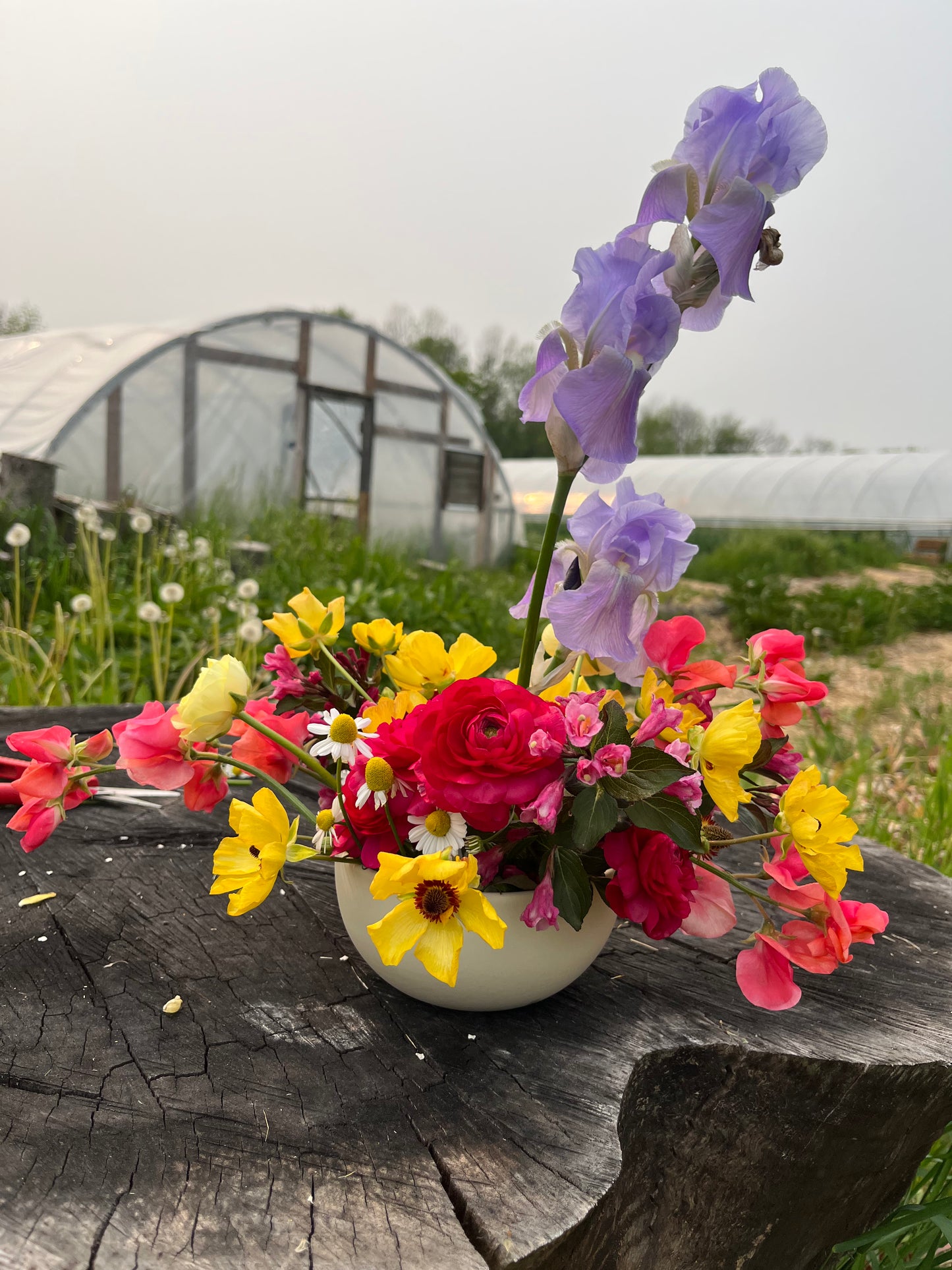 Mother's Day Arrangement