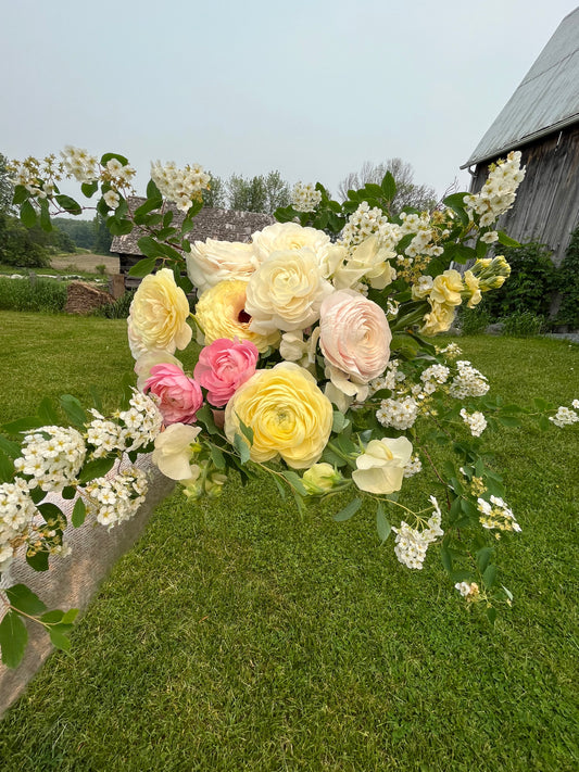 Spring Bouquet Subscription (Ranunculus/Tulips)