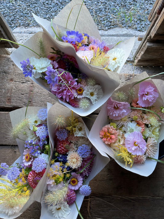 Full Season of Flowers May-September