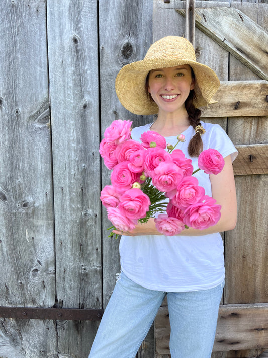 Ranunculus Corms (Rosa Pink)