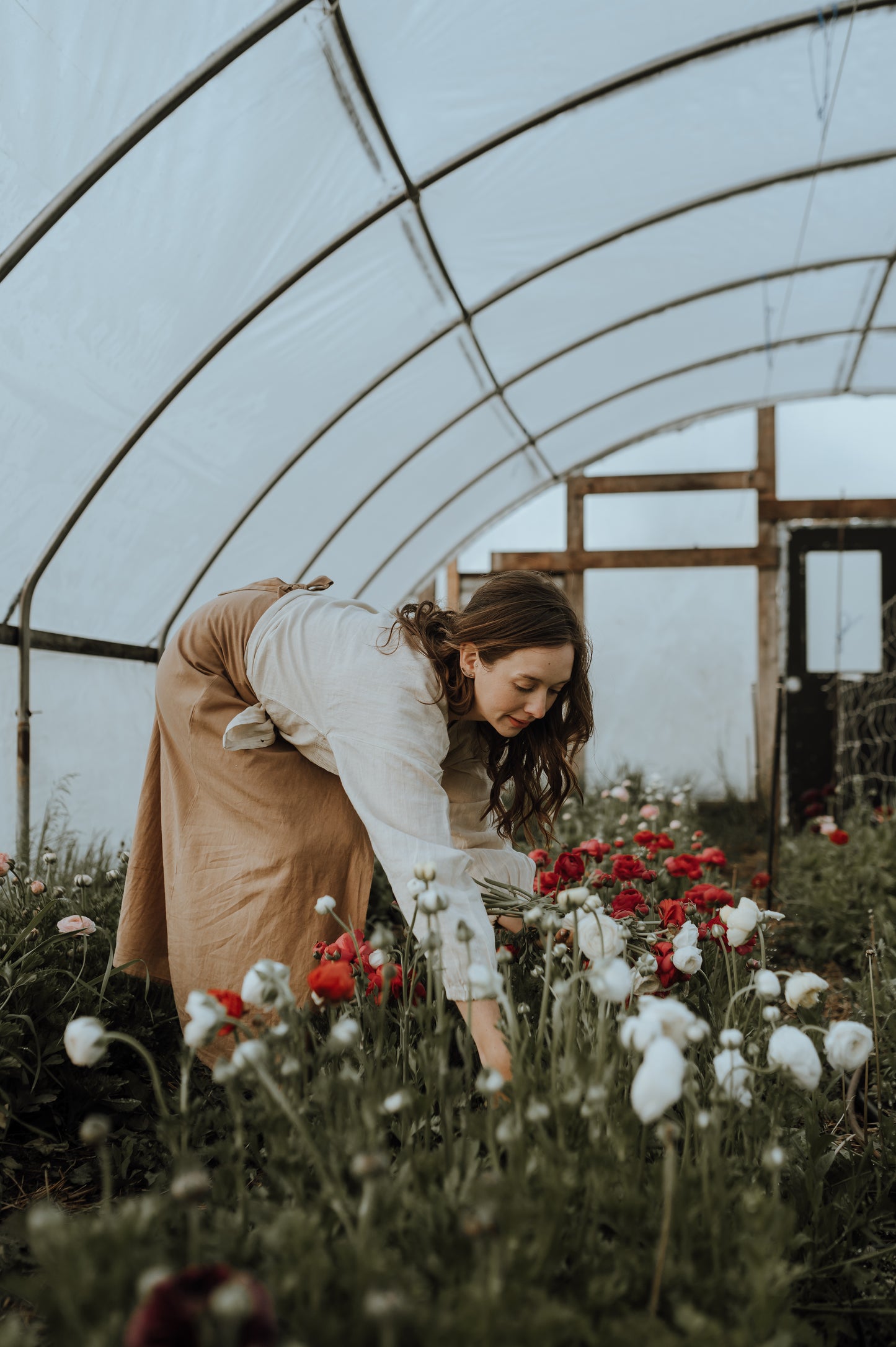 Spring Bouquet Subscription (Ranunculus/Tulips)