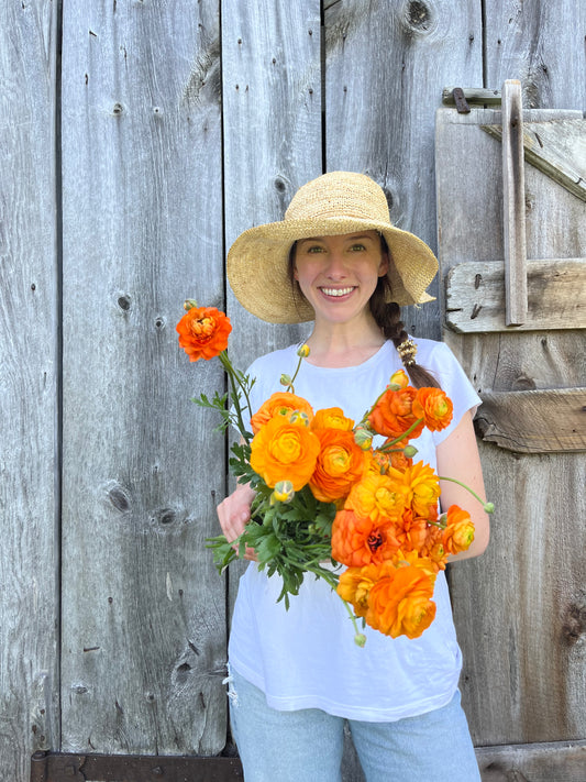 Ranunculus Corms (Clementine - Bright Orange)