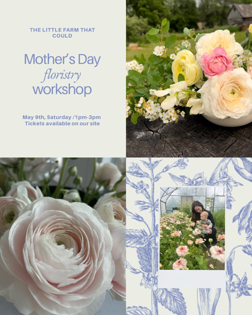 Mother's Day Floristry Workshop - May 9, 2026