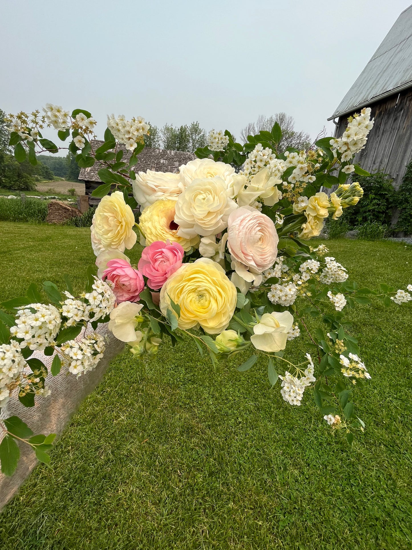 Spring Bouquet Subscription (Ranunculus/Tulips)